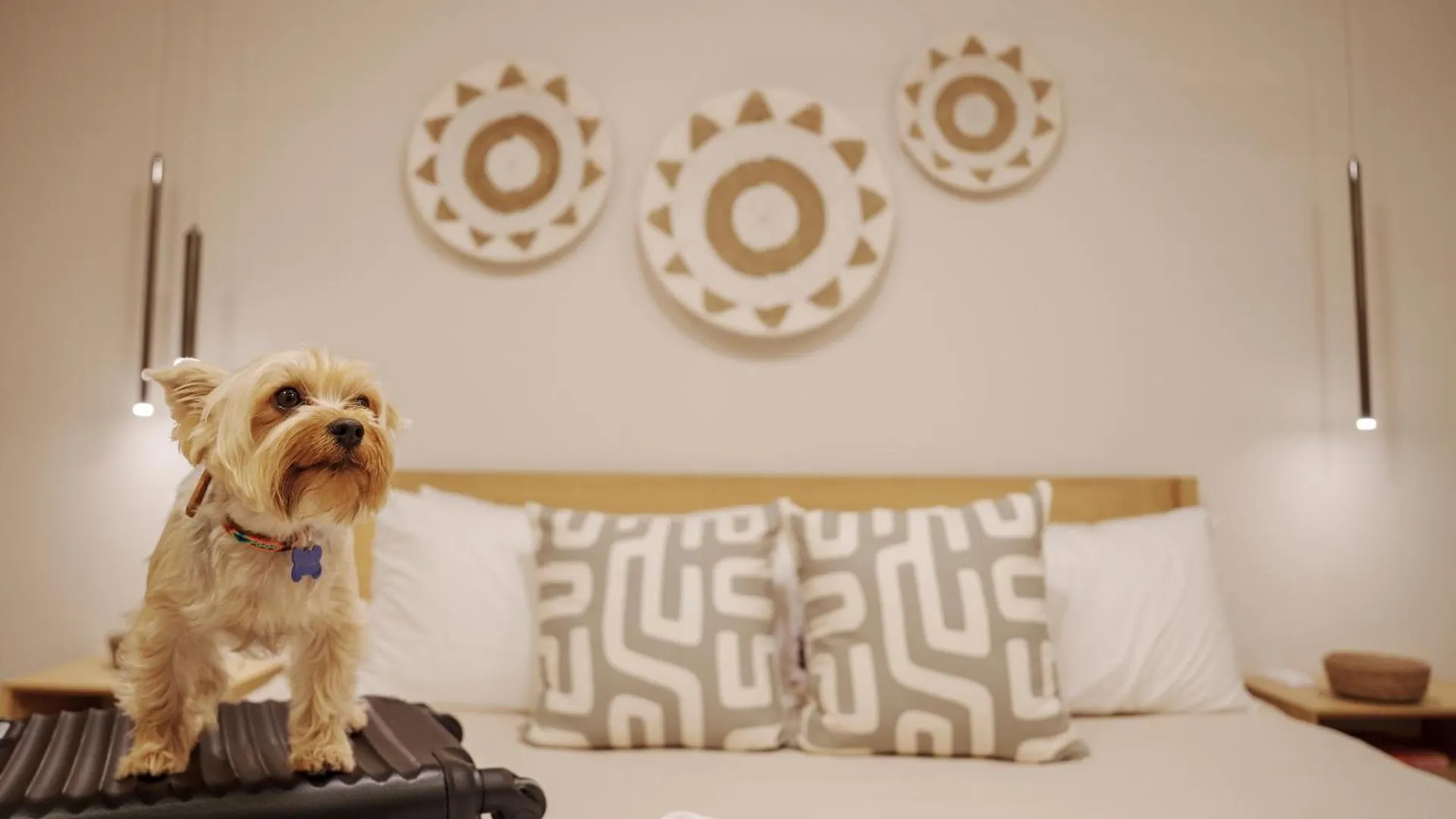 Abba Suites Playa Del Carmen - Soft Opening
